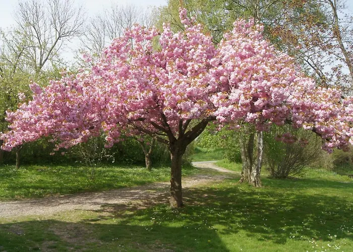 La Closerie Aux Ecureuils Limeux (Somme)